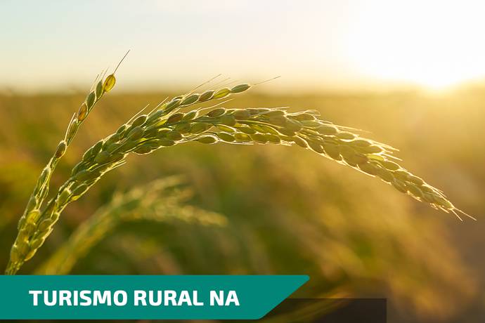 Turismo Rural na Região Riquezas do Oeste