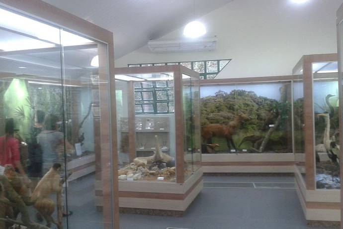 Zoológico e Museu de História Natural